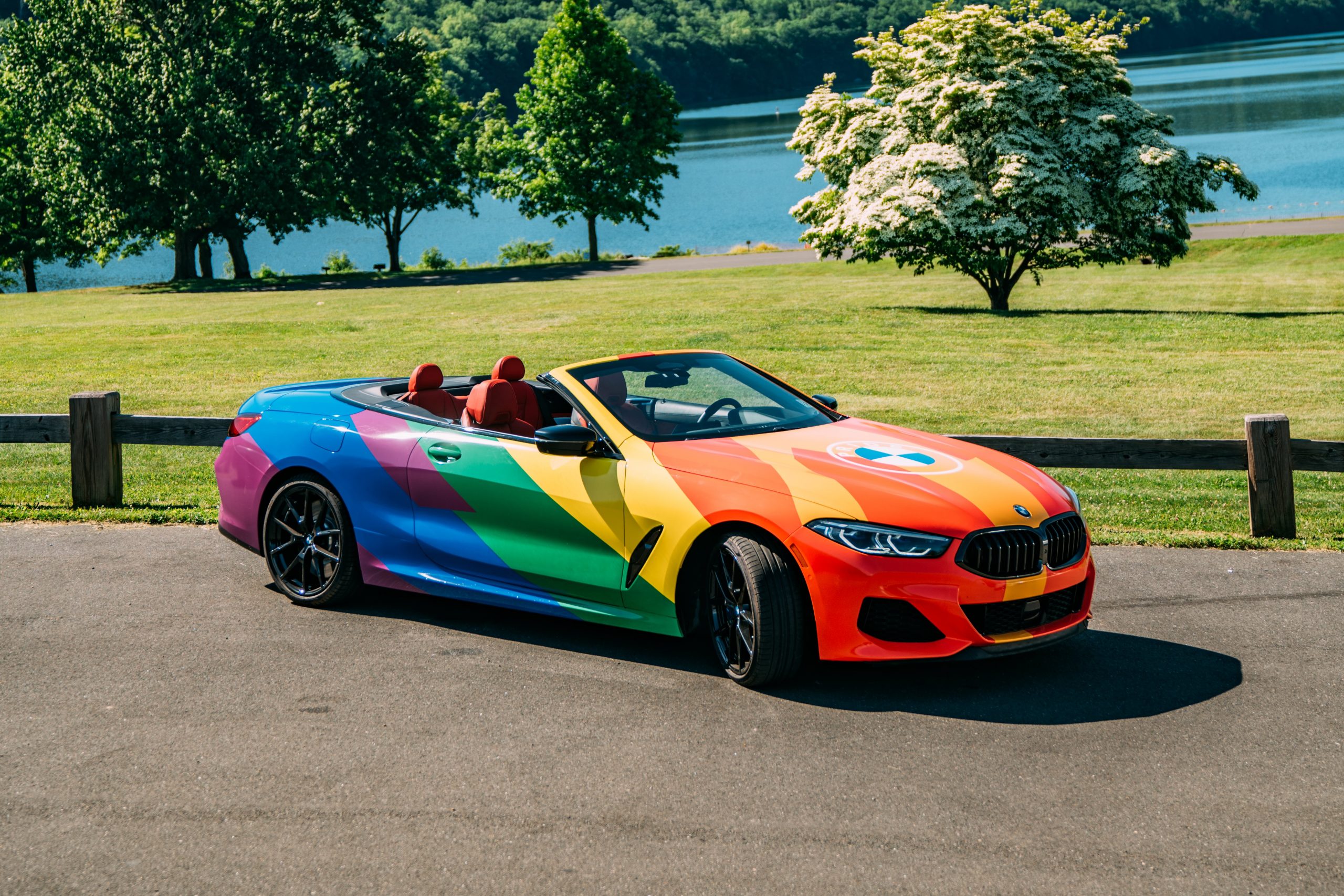 Bmw lgbt logo